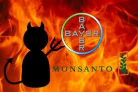 Bayer Monsanto.jpg