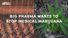 Big Pharma wants to stop medical marijuana.jpg