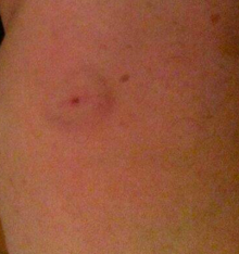 Schermafbeelding 2015-09-02 om 20.51.52.png