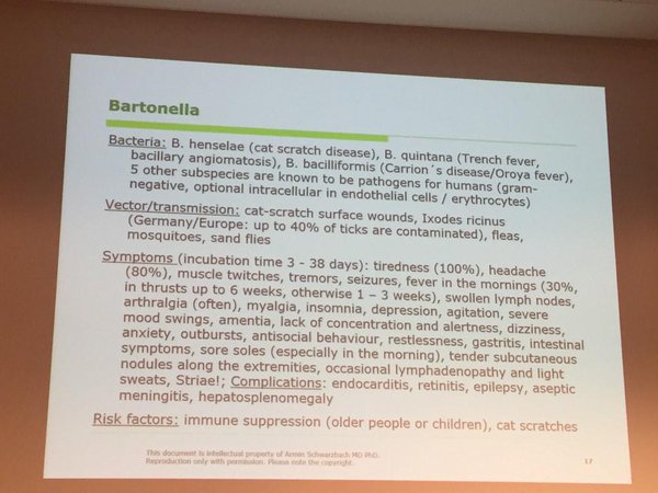 Norvect 2015 Bartonella.jpg