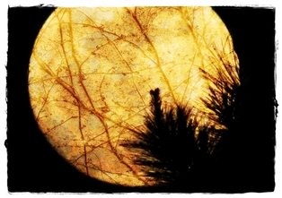 Full Moon -.jpg