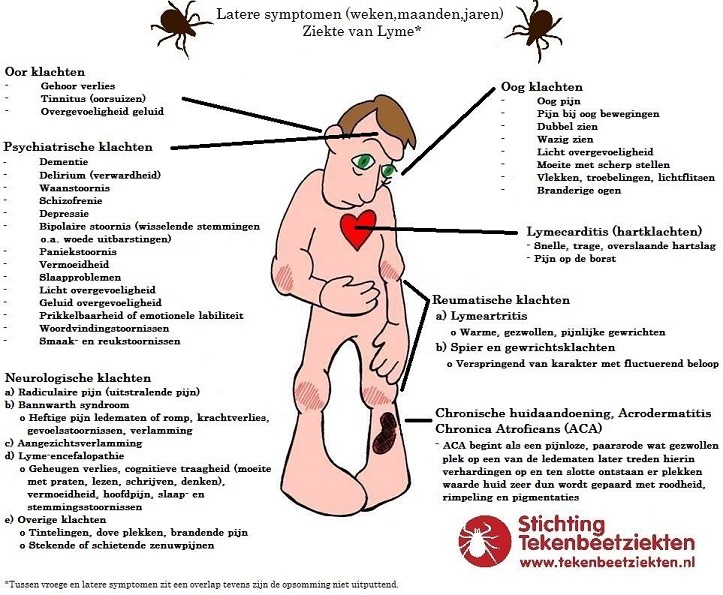 Lyme late symptomen.jpg