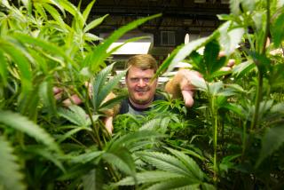 floyd landis weed growing warehouse.jpg