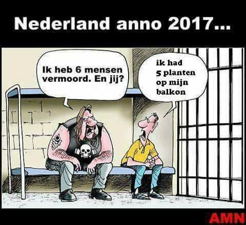 Cannabis Crimineel - Nederland anno 2017.jpg